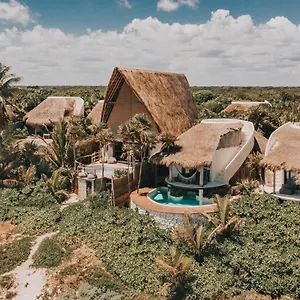 https://papaya-playa.quintano-roohotels.com
